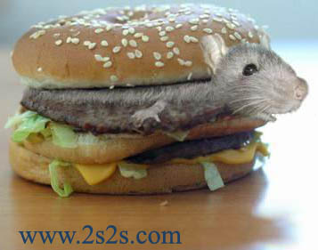 manger c est delicieux